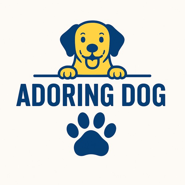 adoring dog